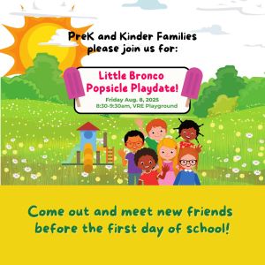 Little Bronco Popsicle Playdate